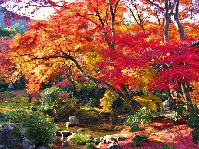 天龍寺の概要